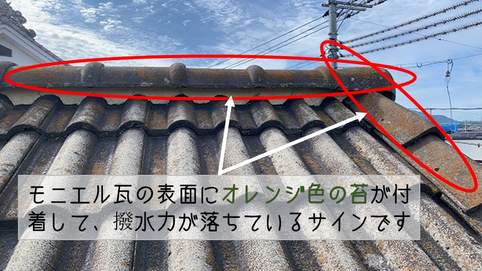 呉市　モニエル瓦屋根・塗装工事の為　屋根調査 表面コケ付着